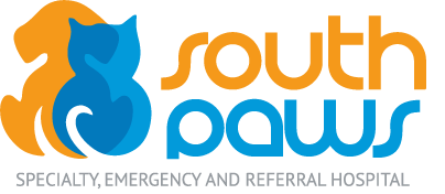 General Vet Services for Pets